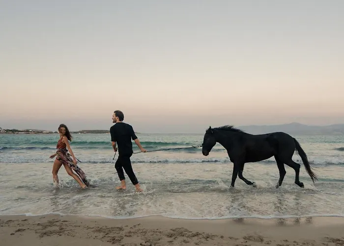 White Dunes Luxury Boutique 5* سانتا ماريا